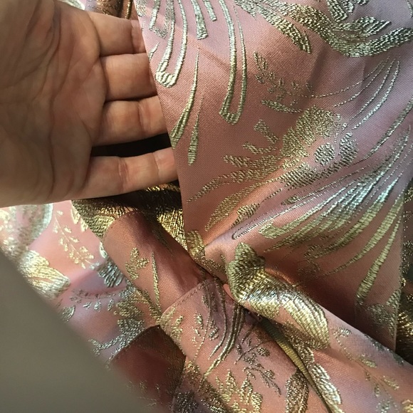 Rochas Pre-Fall 2017 Rose Gold Silk Versailles Evening Gown Small - Picture 8 of 16